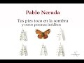 Pablo Neruda - Tus pies toco en la sombra - RCN TV