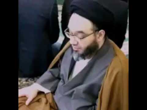 ولاية علي بن أبي طالب ليست من اصول الدين عند محمد باقر السيستاني الناصبي ابن الناصبي