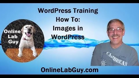 How to: Images in WordPress Part 1
