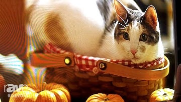 ISE 2016: MR LED Details the Intelligent UTV Series