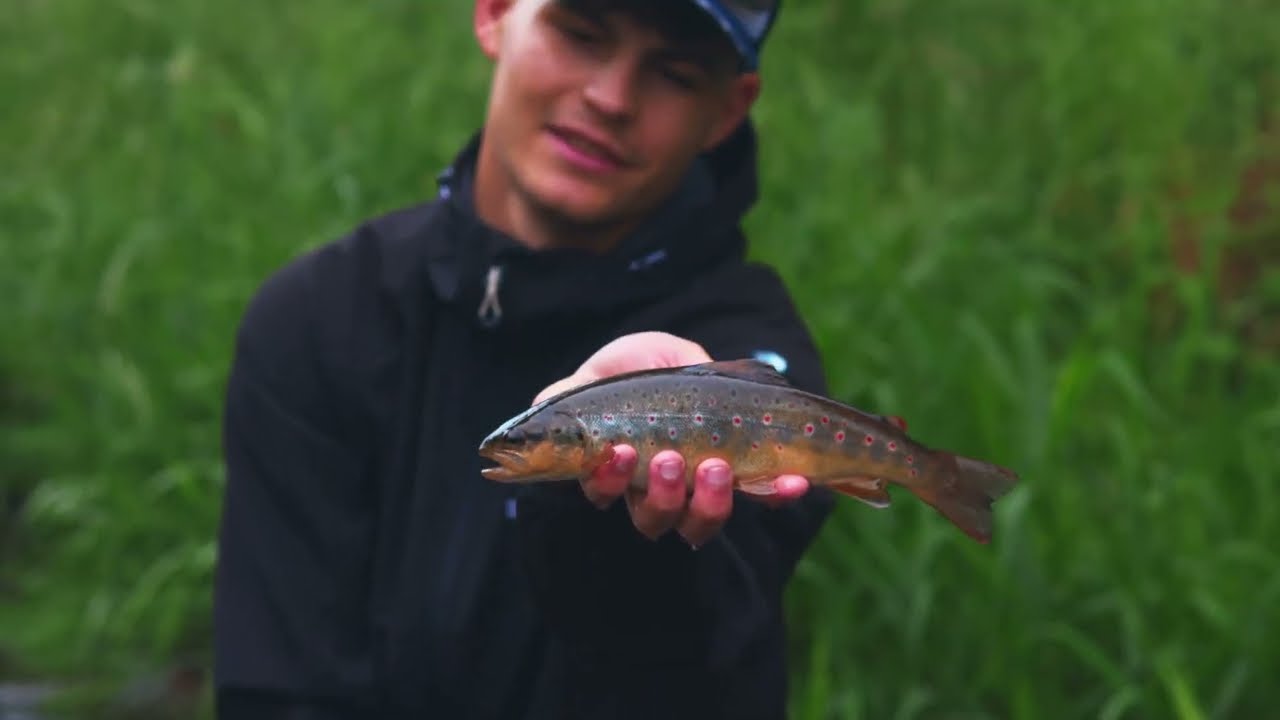 Harmony Baits-Trout fishing in small town.