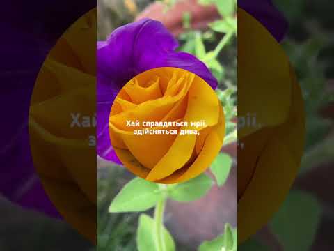 Розкішне Привітання З Днем Народження 🎂 Для Тебе 🎁 Оригінальне Привітання Українською