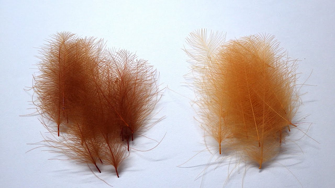 Dyeing CDC Feather Light and Dark Cinnamon with Davie McPhail