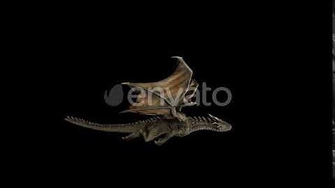 Dragon Glide | Motion Graphics - Envato elements