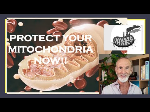 MITOCHONDRIAL HEALTH: The Key to Aging and Chronic Disease