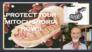 MITOCHONDRIAL HEALTH: The Key to Aging and Chronic Disease