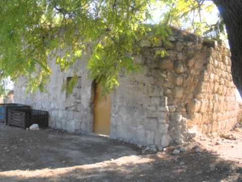 عنواننا هنا