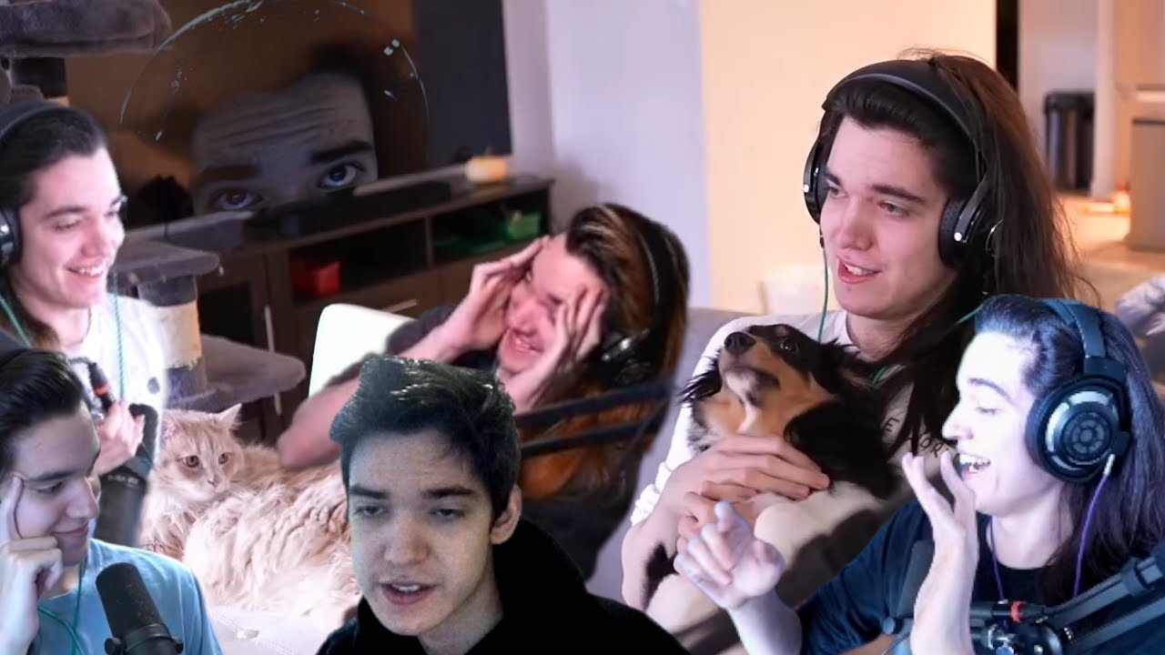 Out of context ZubatLEL