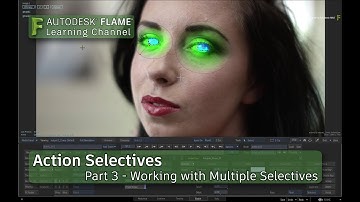 Action Selectives - Part 3 - Working with Multiple Selectives - Flame 2018.3 Update