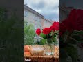 حسين الجسمي سيبها على الله حسين الجسمي سيبها على الله