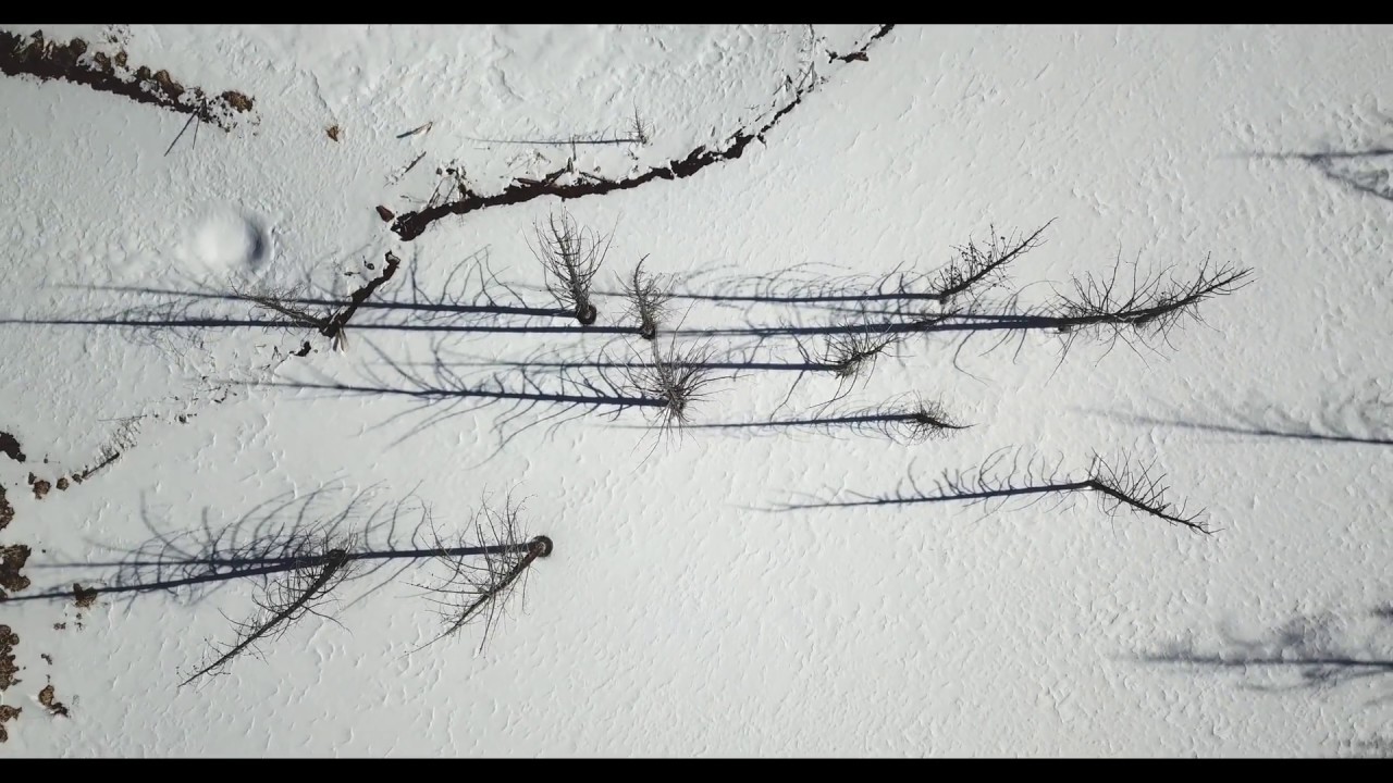 Relaxing aerial drone video flying a drone over tree shadows on the snow