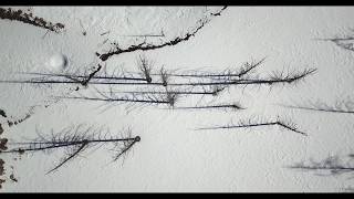 Relaxing aerial drone video flying a drone over tree shadows on the snow