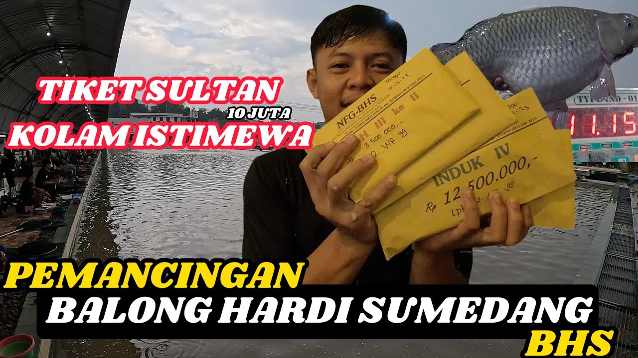 BIKIN ULAH LAGI !!! 5 VARIAN ESSEN INI | LAPAK SUSAH AJA BISA NAIKIN 100 EKOR IKAN
