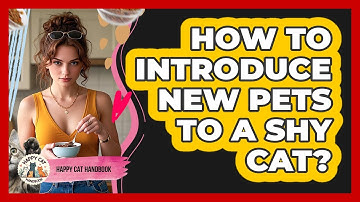 How To Introduce New Pets To A Shy Cat? - Happy Cat Handbook