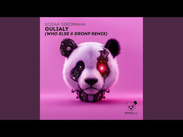 Gulialy (Who Else & DROHP Remix)