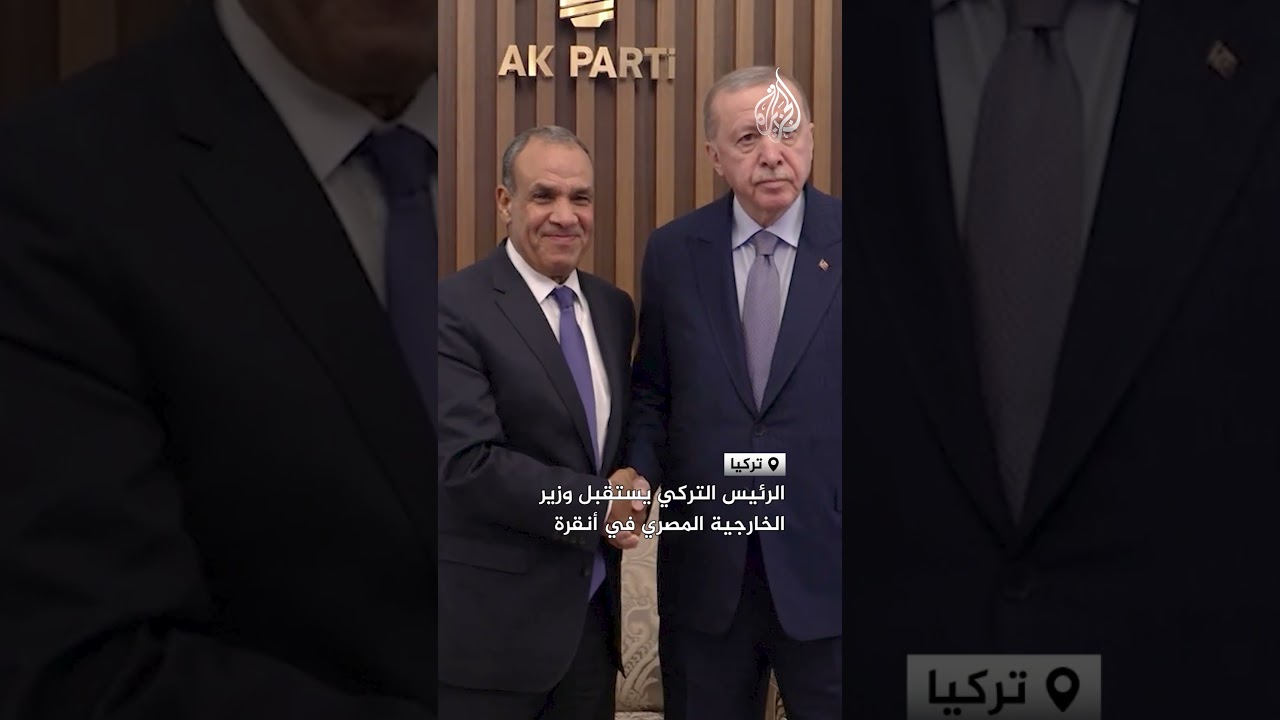 الرئيس التركي يستقبل وزير الخارجية المصري في أنقرة