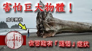 巨物恐懼症患者慎入！那些遠離人群的巨大生物...｜下水道先生