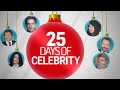 Don&#39;t miss our 25 Days of Celebrity! | REELZ