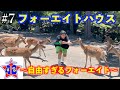 【フォーエイトの未公開映像】週末のフォーエイトハウス〜自由すぎるフォーエイト〜