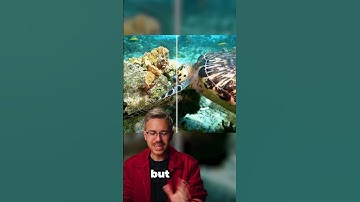 This New AI Video Upscale Tool might just be the best on the market. #aifilmmaking #aifilms