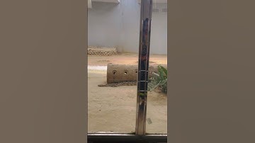 Python is so long?🐍😮🫢😯 #viral #shorts #python