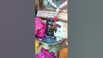 1 लोटा जल 1 बेलपत्र 1 दूर्वा का अचूक उपाय करें महादेव जरूर सुनेंगे#पंडित प्रदीप मिश्रा जी#महादेव #🔱🌿