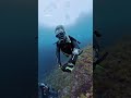 隠岐ダイビングinsta360 x5 #cave #隠岐 #scubadiving