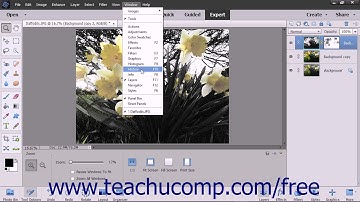 Photoshop Elements 2018 Tutorial The Undo Command & Undo History Panel Adobe Training