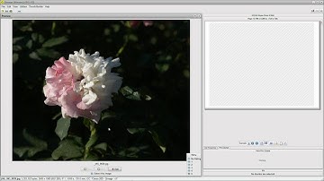 Qimage Ultimate - The Power of Thumbs