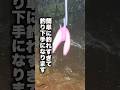 入れ食いルアー