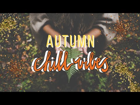 Autumn Fall Chill Vibes | Perfect Walking Music | A Warm and Cozy Feel To Kickback and Relax