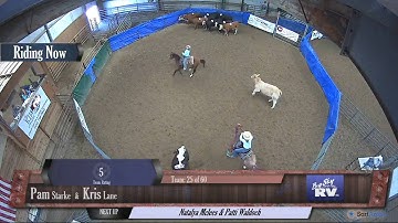 Big Sky Ranch Sorting Saddle Series #6 - #8 HC Ranch Hand - Round #1 - Ride #25