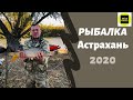 Рыбалка в Астрахани. Раскаты. Ловля жереха. октябрь 2020 г