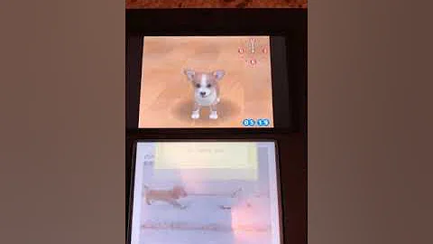 Coming Back to Nintendogs After 10+ Years