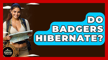 Do Badgers Hibernate? - Exploring Campgrounds