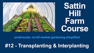 Sattin Hill Farm Course #12 - Transplanting &amp; Interplanting