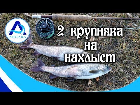 Рыбалка на Ангаре.