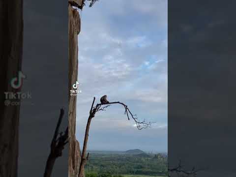 อยู่คนเดียวให้ชิน ระวัง! ใครชอบทานอาหารเสริม