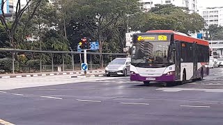 SBS8771G(SEDEP 852) On Service 851e At Yishun Avenue 2