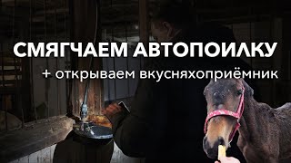 ЛАЙФХАК: как сделать язычок автопоилки более мягким