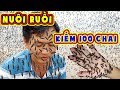 Nuôi Đàn Ruồi Kỳ Lạ, Bán 1kg Trứng Thu 30 Triệu Ở Vùng Ven Sài Gòn