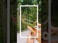 Bamboo shoots ⚡#viral #bamboo #bamboo1 #shortfeeds #diy #viralvideo #woodworking #wood