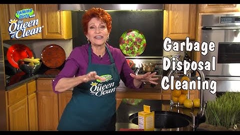 GARBAGE DISPOSAL Cleaning - Queen Of Clean Cleaning Tip Video