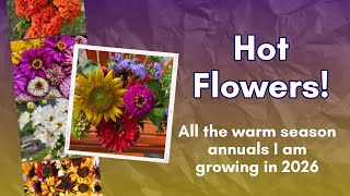 All the warm season annuals on our Texas flower farm for 2026! Lots of varieties, 1000s of blooms