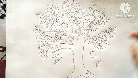 How to draw mango tree | mango tree Drawing | step by Step tutorial | आम के पेड़ का चित्र कैसे बनाएं