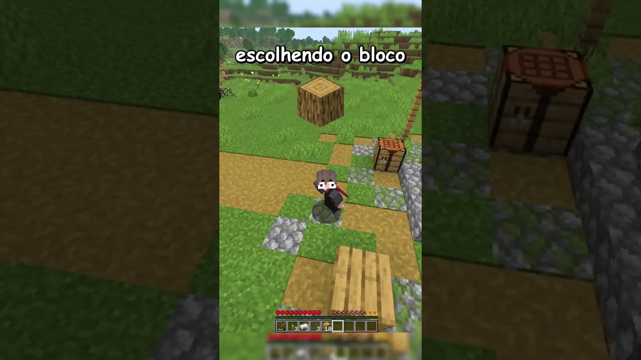 Minecraft mas não posso tocar no seu bloco