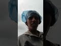 Cultivation Of Cotton Seeds Cultivation Of Cotton Seeds
