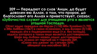 Сунны В Использовании Сивака Зубочистки