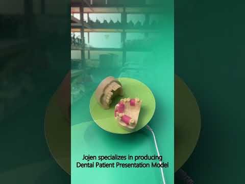 orthodontic typodont models
