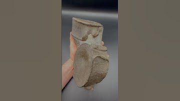 Here’s an outstanding example of some HUGE Ichthyosaur vertebrae, roughly 180 Million years old! 😍